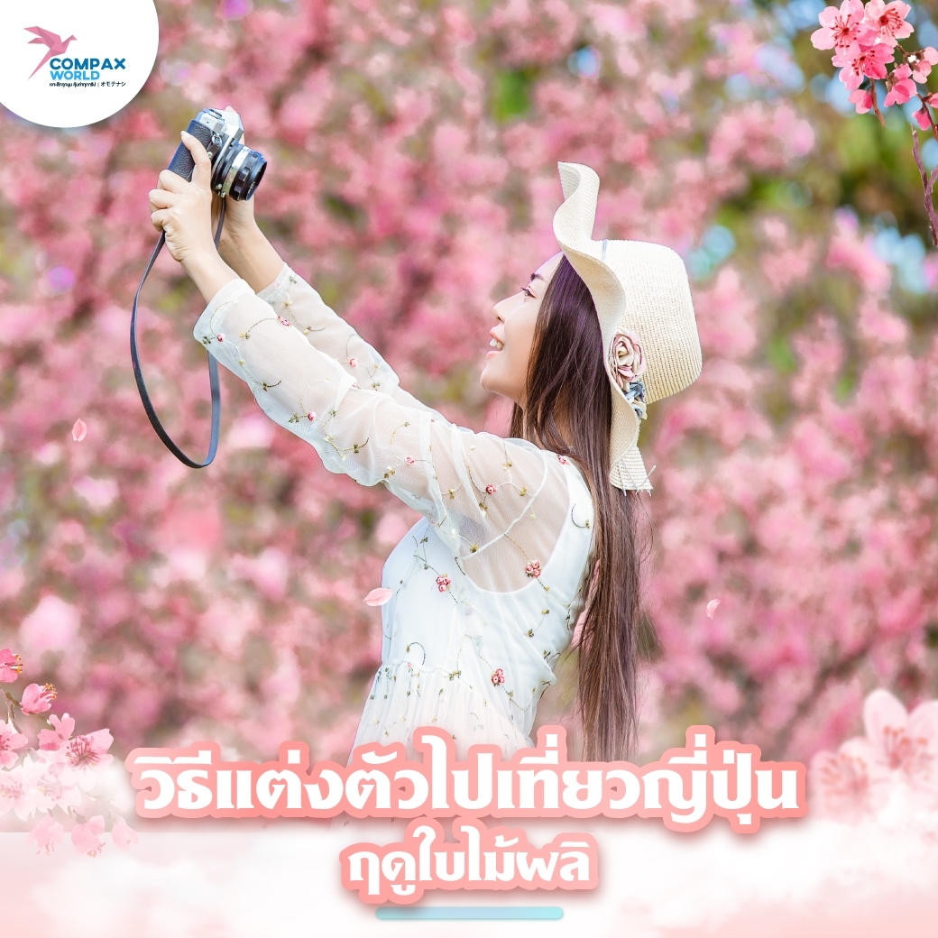 ทัวร์ญี่ปุ่น เที่ยวญี่ปุ่น โปรแกรมทัวร์ญี่ปุ่น